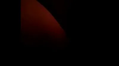 VLXX