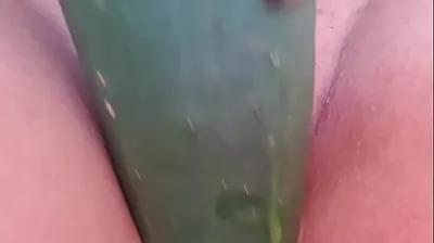 VLXX