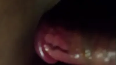 VLXX