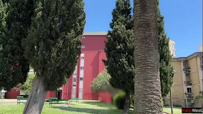 VLXX