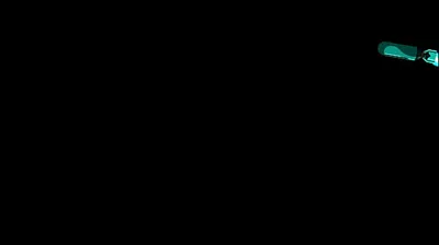 VLXX