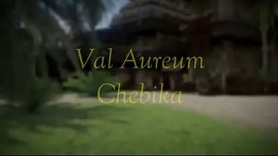 VLXX