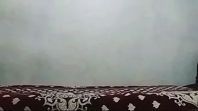 VLXX
