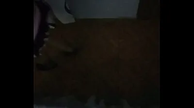 VLXX