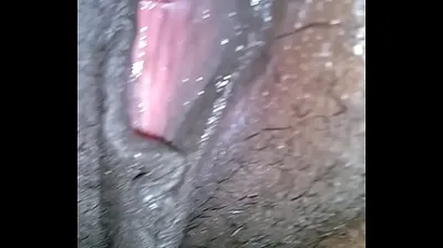 VLXX