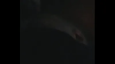 VLXX