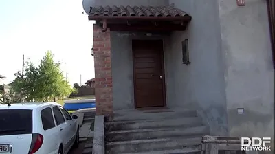VLXX