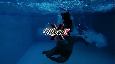 VLXX