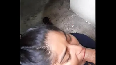 VLXX