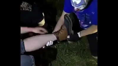 VLXX