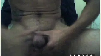 VLXX