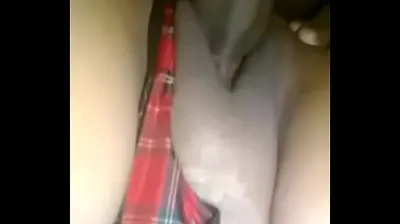 VLXX