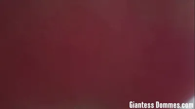 VLXX