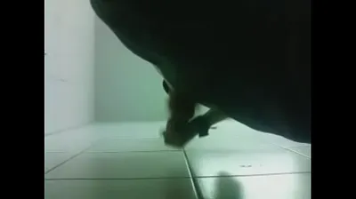 VLXX