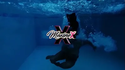 VLXX