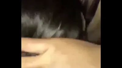 VLXX