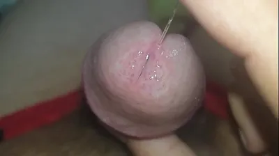 VLXX