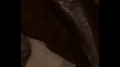 VLXX