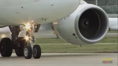 VLXX