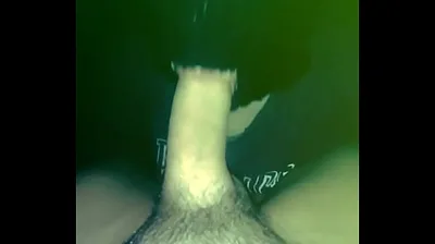 VLXX