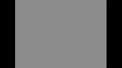 VLXX
