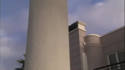 VLXX