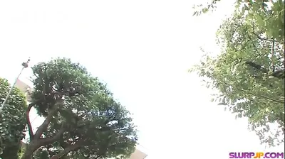 VLXX