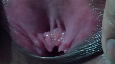 VLXX