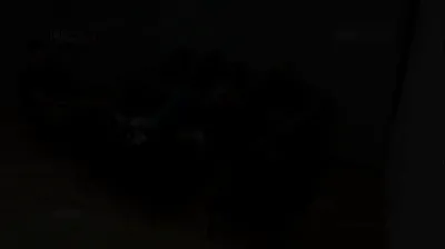 VLXX