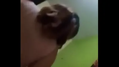VLXX