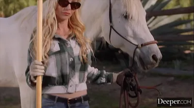 VLXX