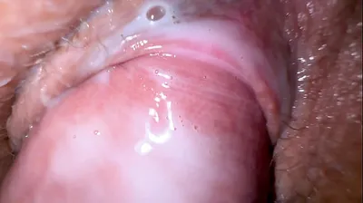 VLXX