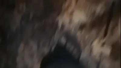 VLXX
