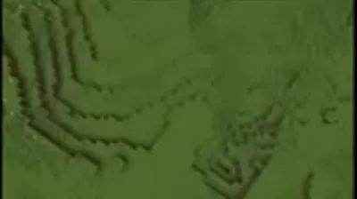 VLXX