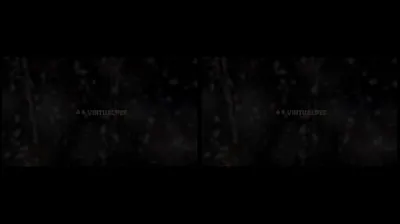 VLXX