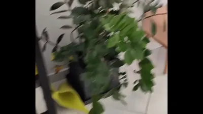 VLXX