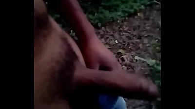 VLXX