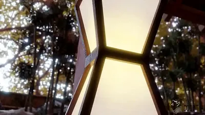 VLXX
