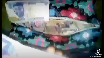 VLXX