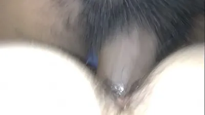 VLXX