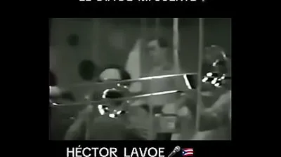 VLXX