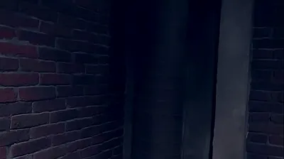 VLXX