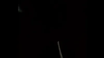 VLXX