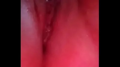VLXX