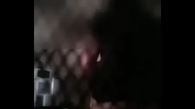 VLXX