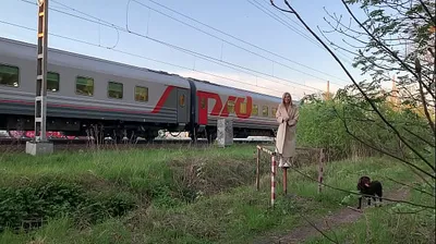 VLXX