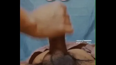 VLXX