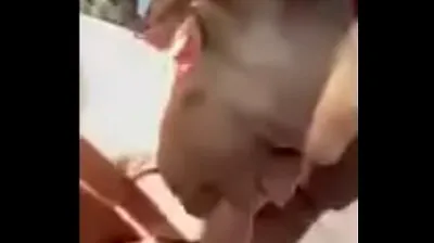 VLXX