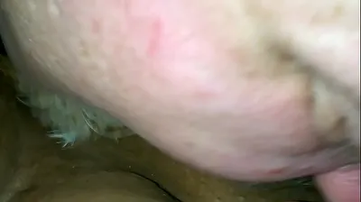 VLXX