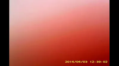 VLXX
